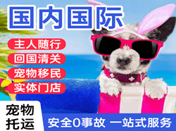 青岛胶东航空快运国际宠物托运 【国